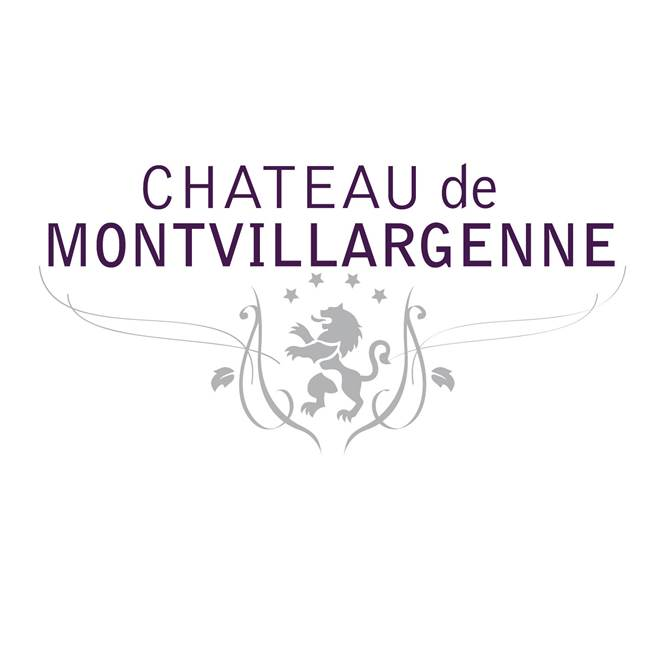 Château de Montvillargenne